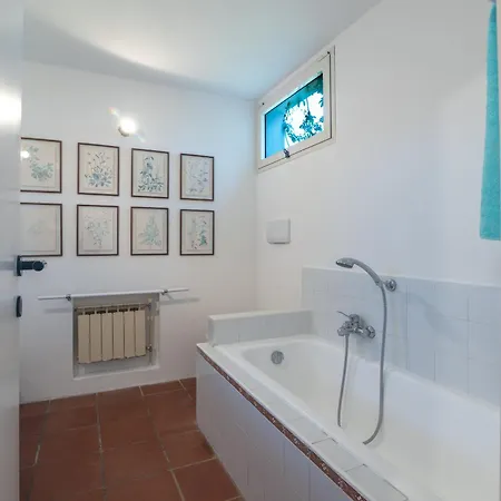 Viola Con Piscina E Giardino Villa *